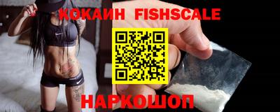 крисы Брянск