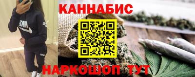 крисы Брянск